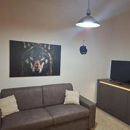 Apartment A&a - Near Parco Camana *
